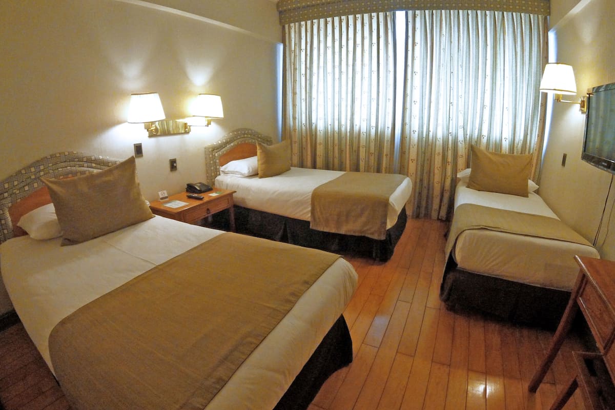 Chambre Triple Exécutive