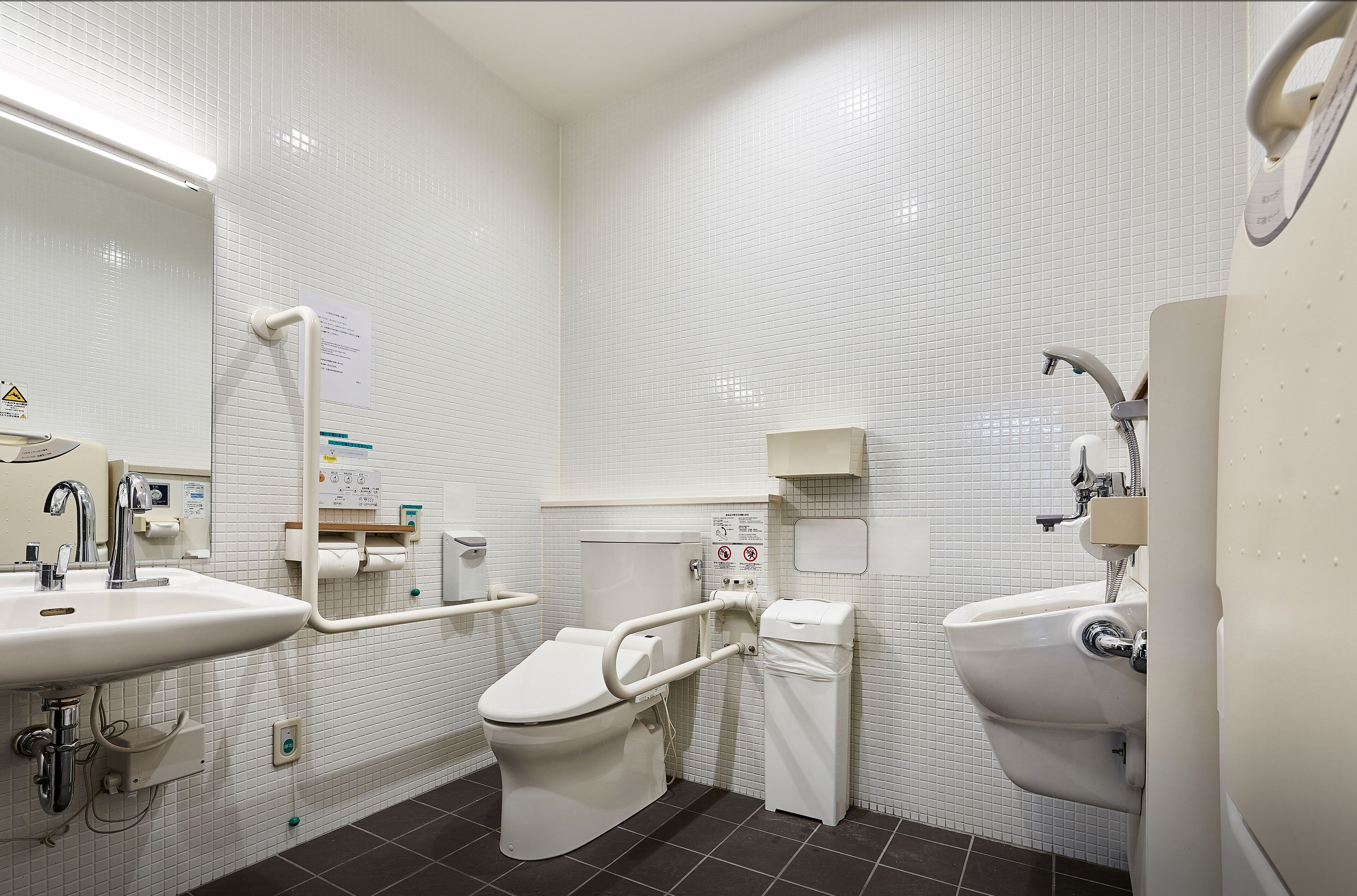 A modern bathroom with white fixtures, a toilet with a grab bar, a sink, and a bidet.