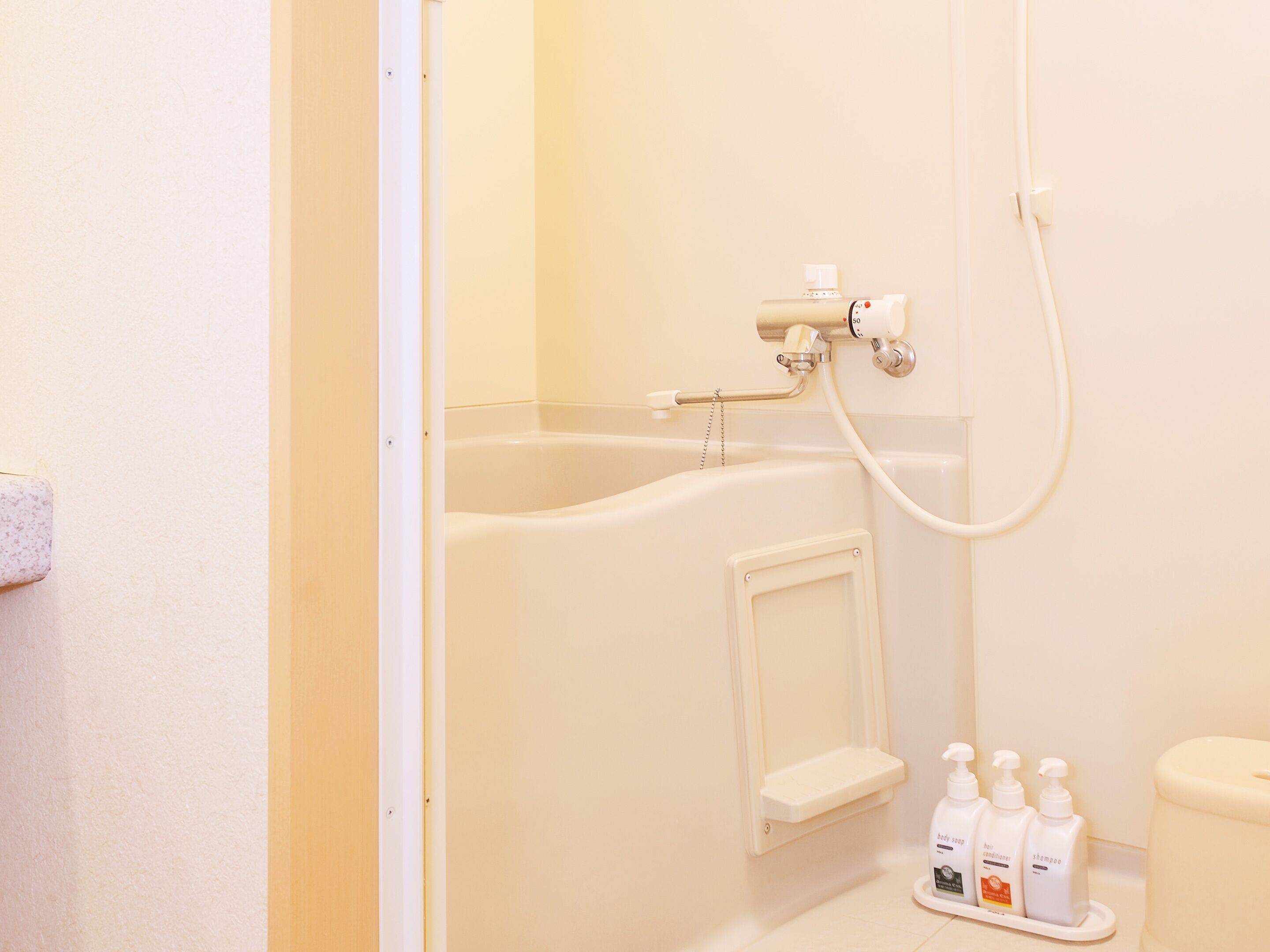 Badezimmer | Haartrockner, Toilette mit elektrischem Bidet, Handtücher