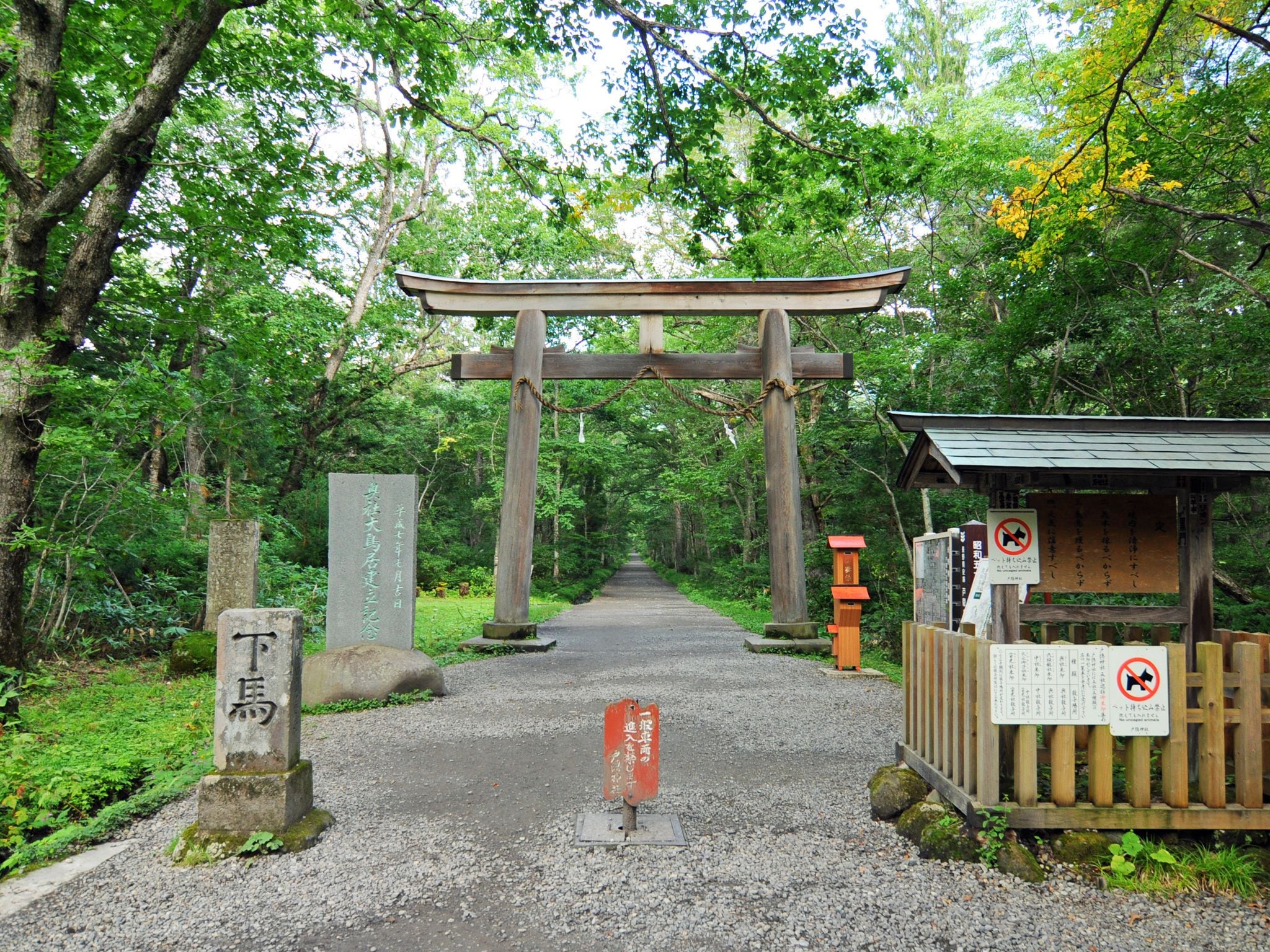 A traditional Japanese torii gate at the entrance of a forested area.