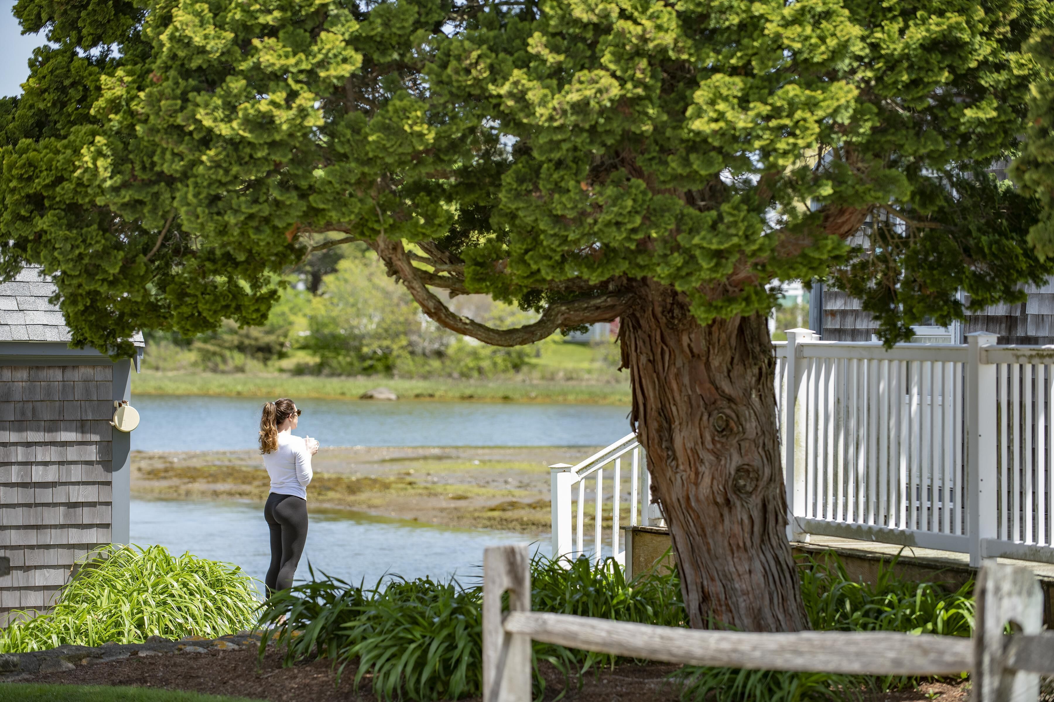 Une personne se tient près d’un lac, avec une clôture en bois et un arbre au premier plan.