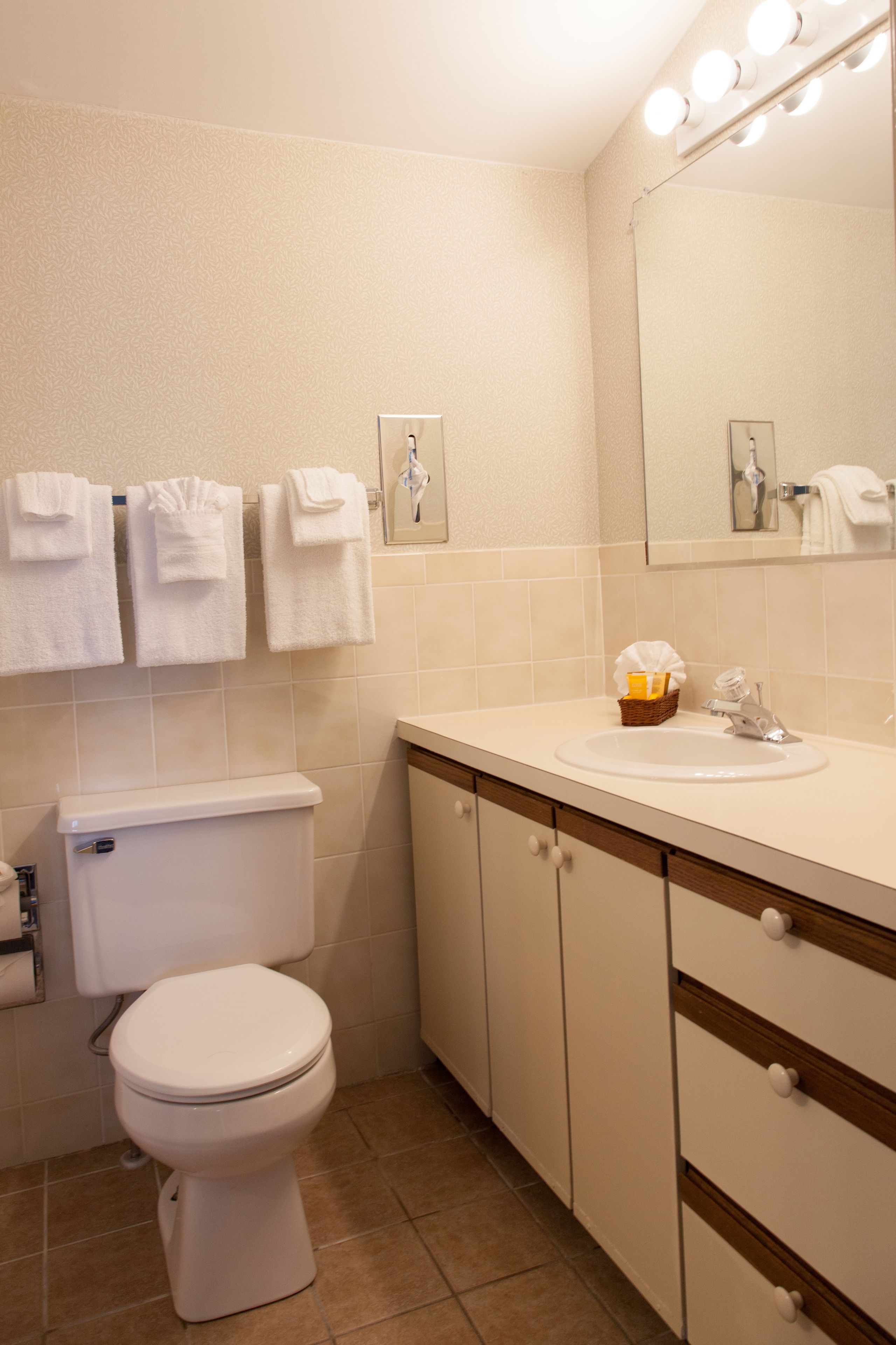 combined shower/bathtub, free toiletries, hair dryer, towels