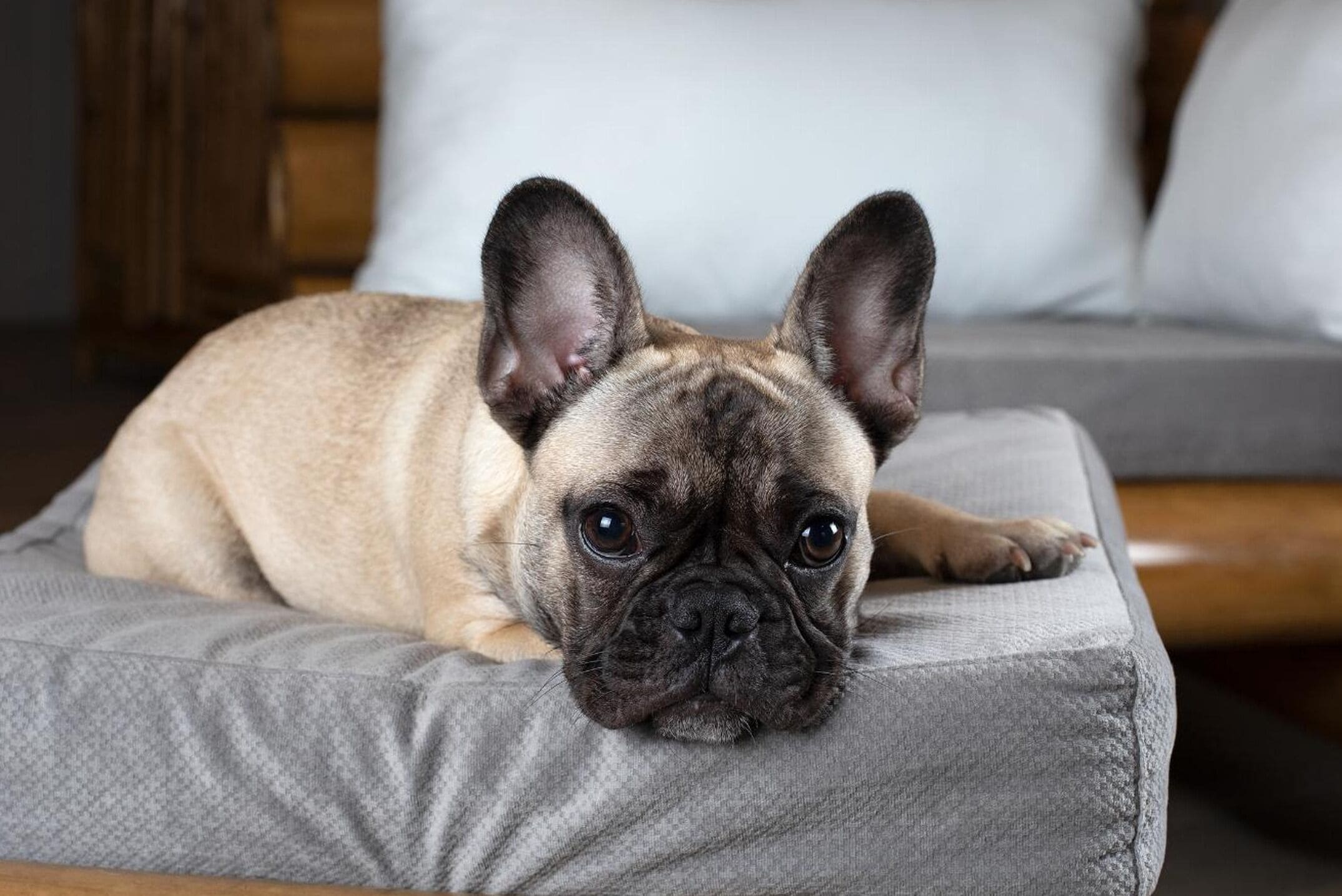 2 bedrooms, in-room safe, individually decorated, individually furnished