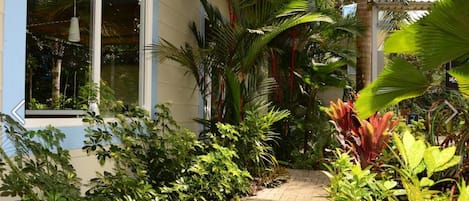 A pathway leading to a building with a large window and a variety of tropical plants.