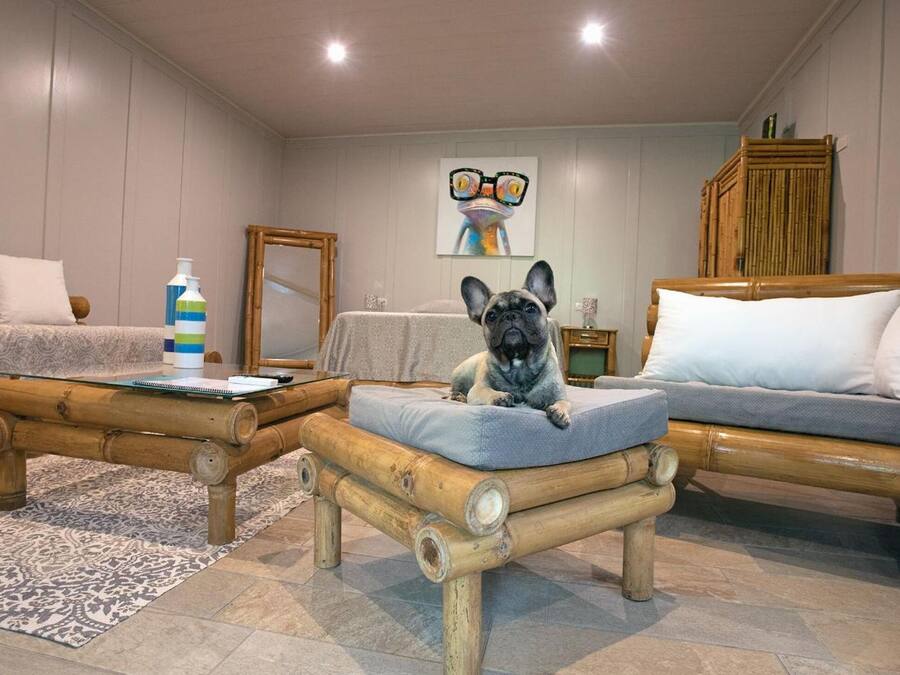 A cozy living room with a French Bulldog on a cushioned stool, a sofa, a coffee table, and a painting on the wall.