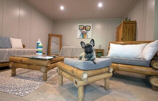 Un salón acogedor con un bulldog francés sobre un taburete acolchado, un sofá, una mesa de centro y un cuadro en la pared.