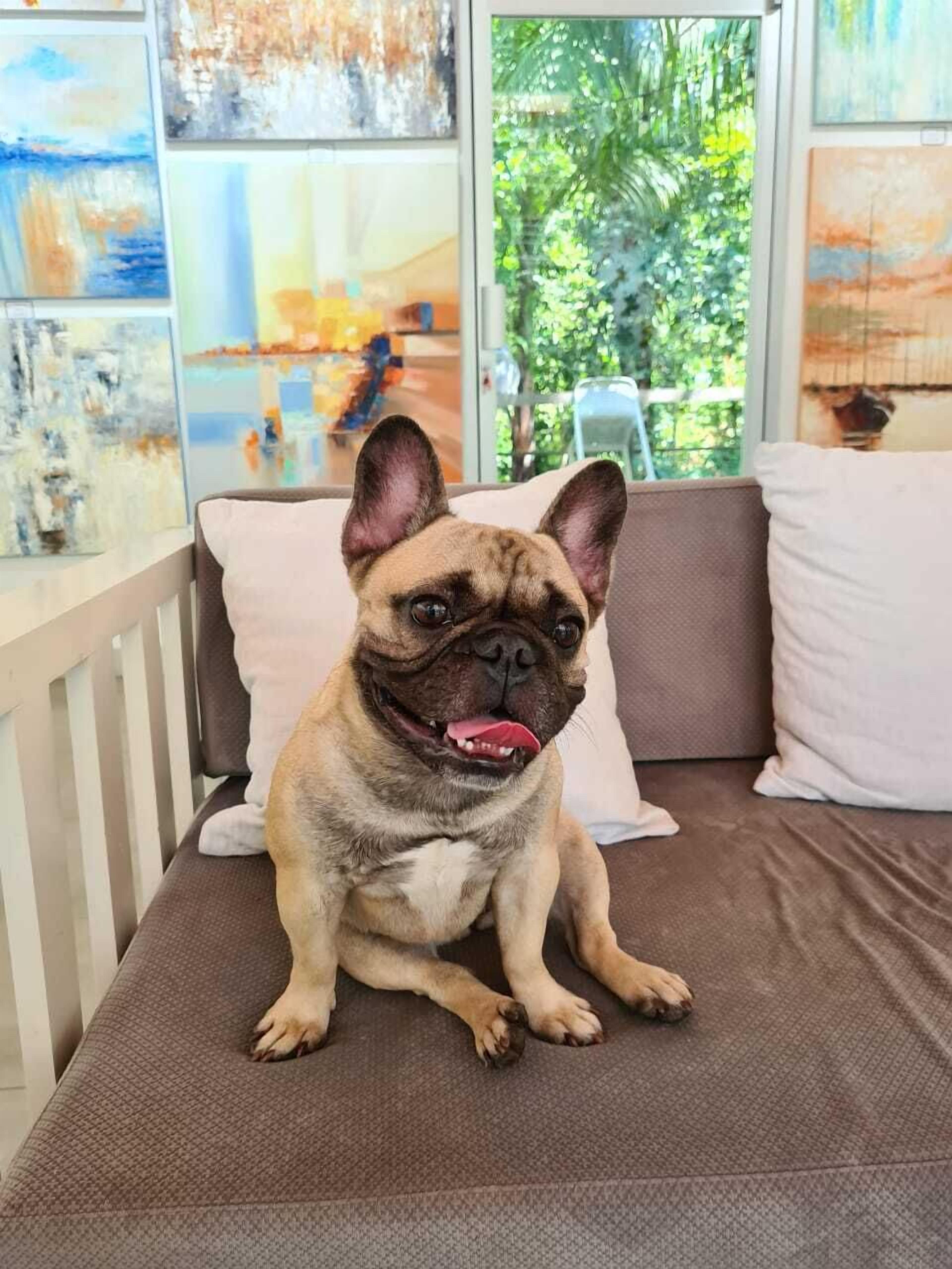 40-inch smart tv with digital channels