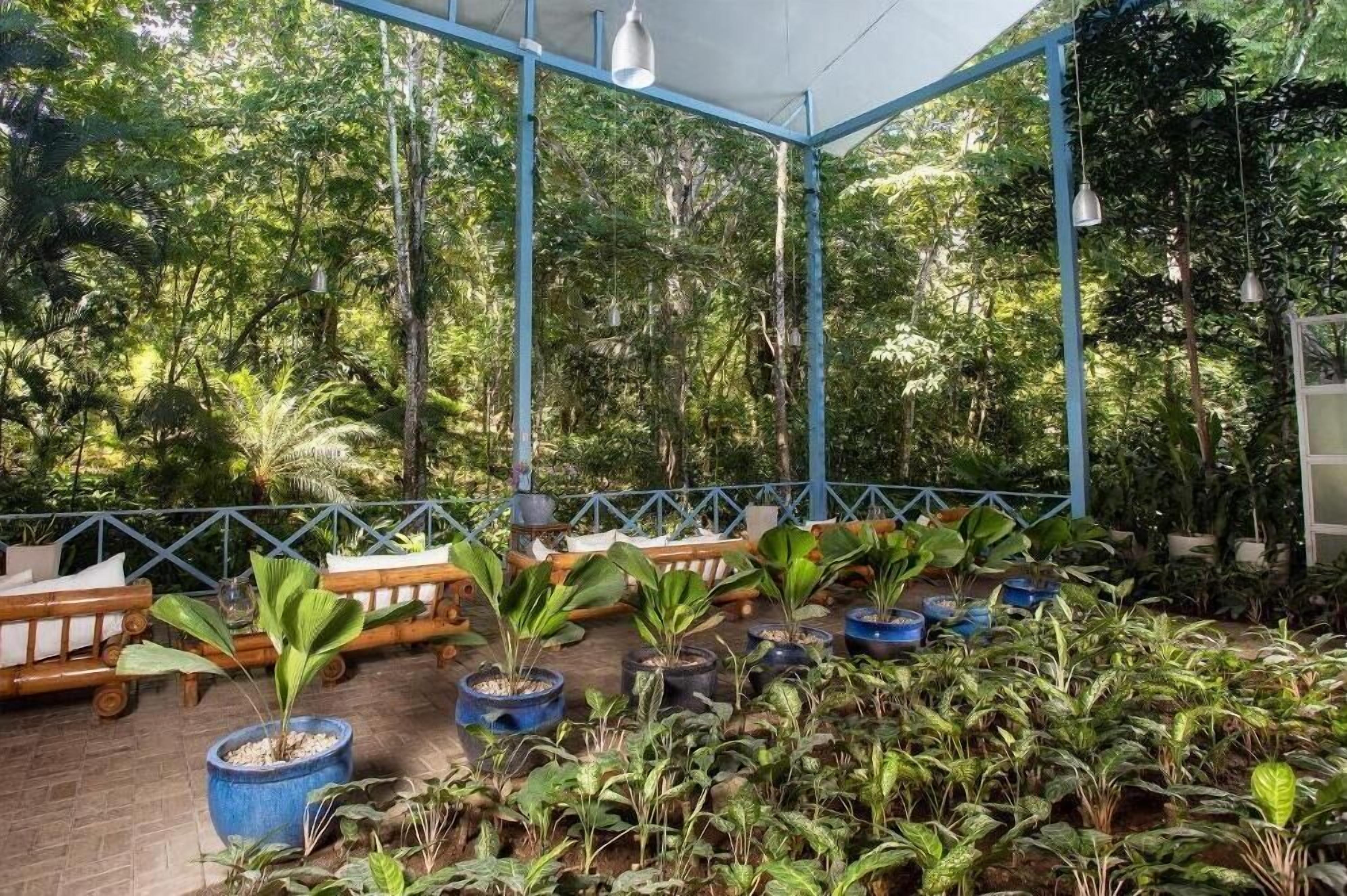 Een overdekt buitengebied met houten banken en planten in potten.