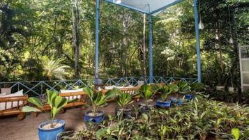 A covered outdoor area with wooden benches and potted plants.