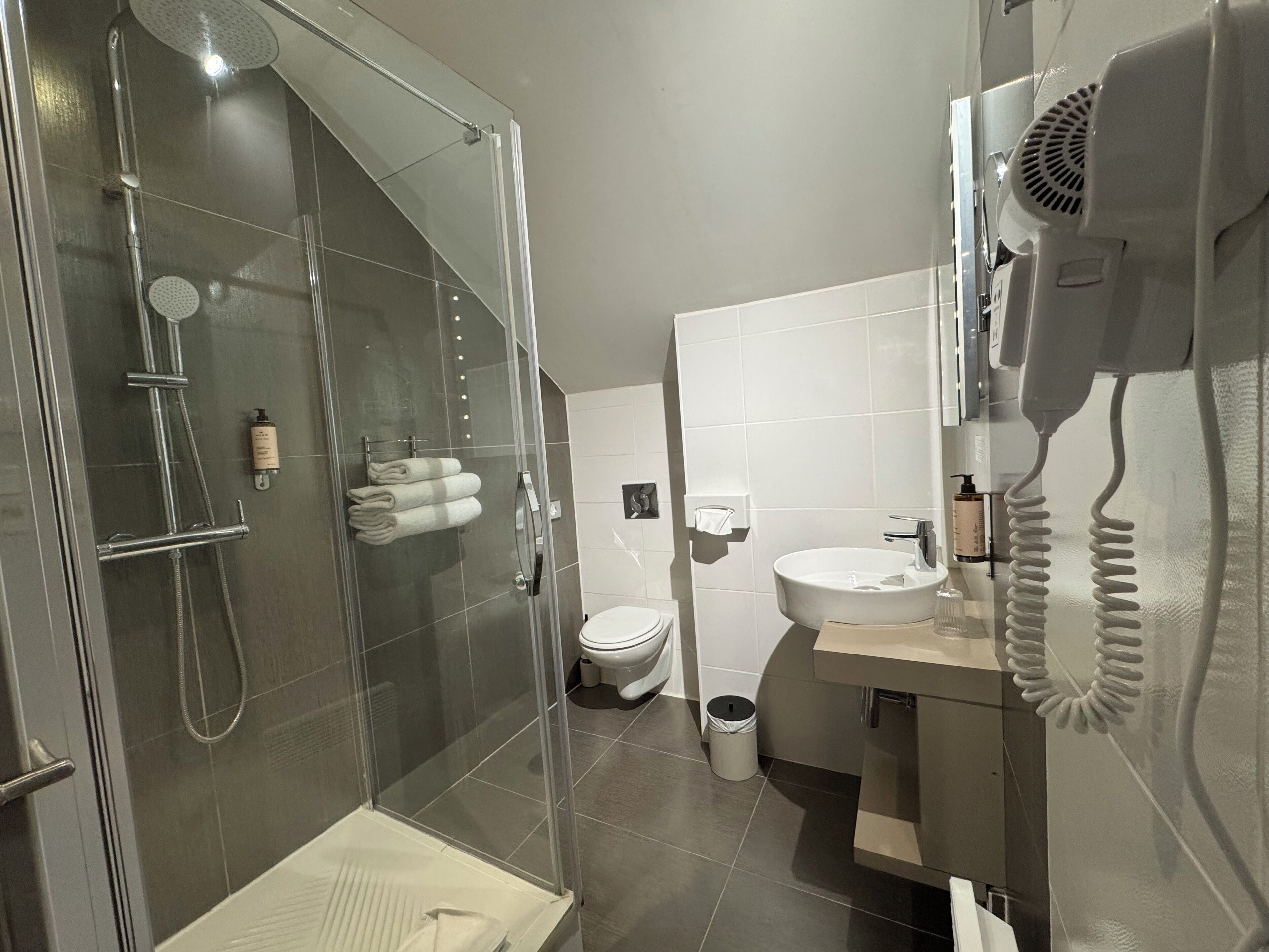 A modern bathroom with a glass-enclosed shower, a toilet, and a sink with a hairdryer.