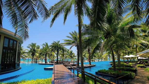 A resort pool area with palm trees, a wooden deck, and lounge chairs. - Crowne Plaza Danang by IHG (Da Nang)