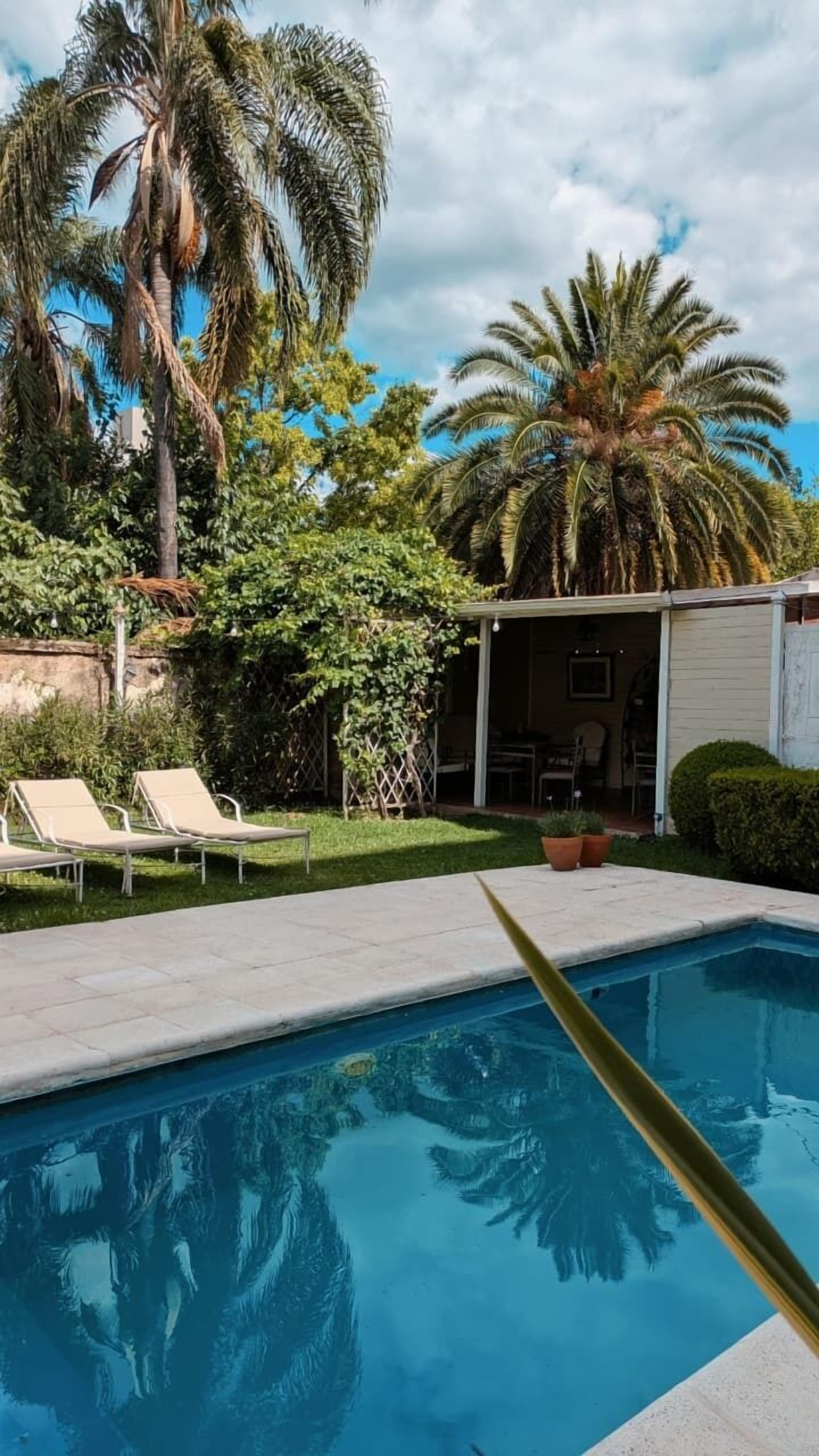 Outdoor pool, sun loungers