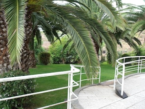 A garden area with palm trees and a white metal railing.