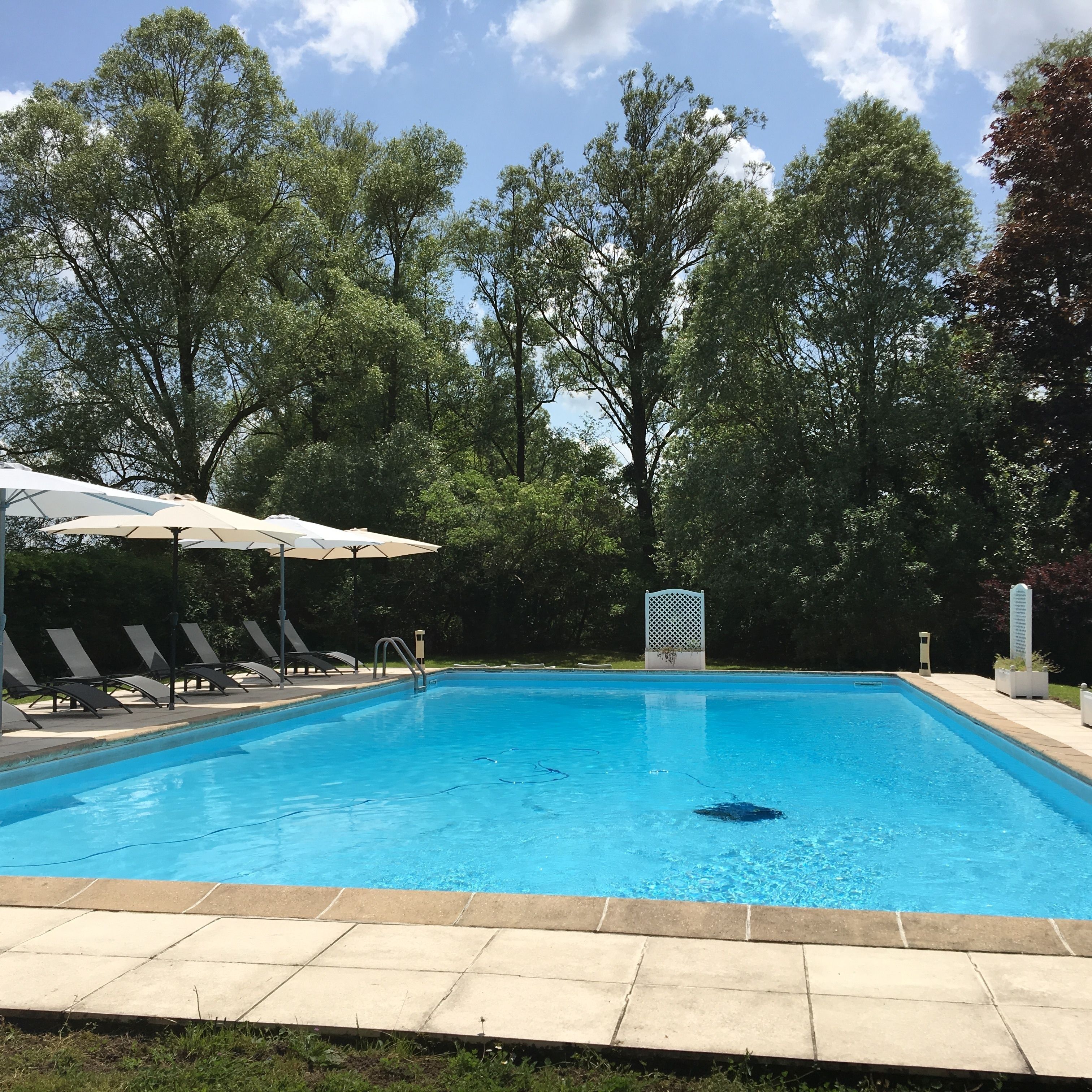 A rectangular swimming pool with clear blue water, surrounded by a tiled deck. There are lounge chairs and umbrellas along the poolside.