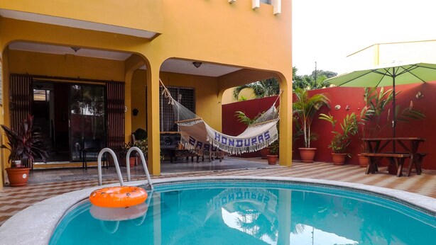 A swimming pool with a hammock and an orange float, surrounded by potted plants and a red wall.