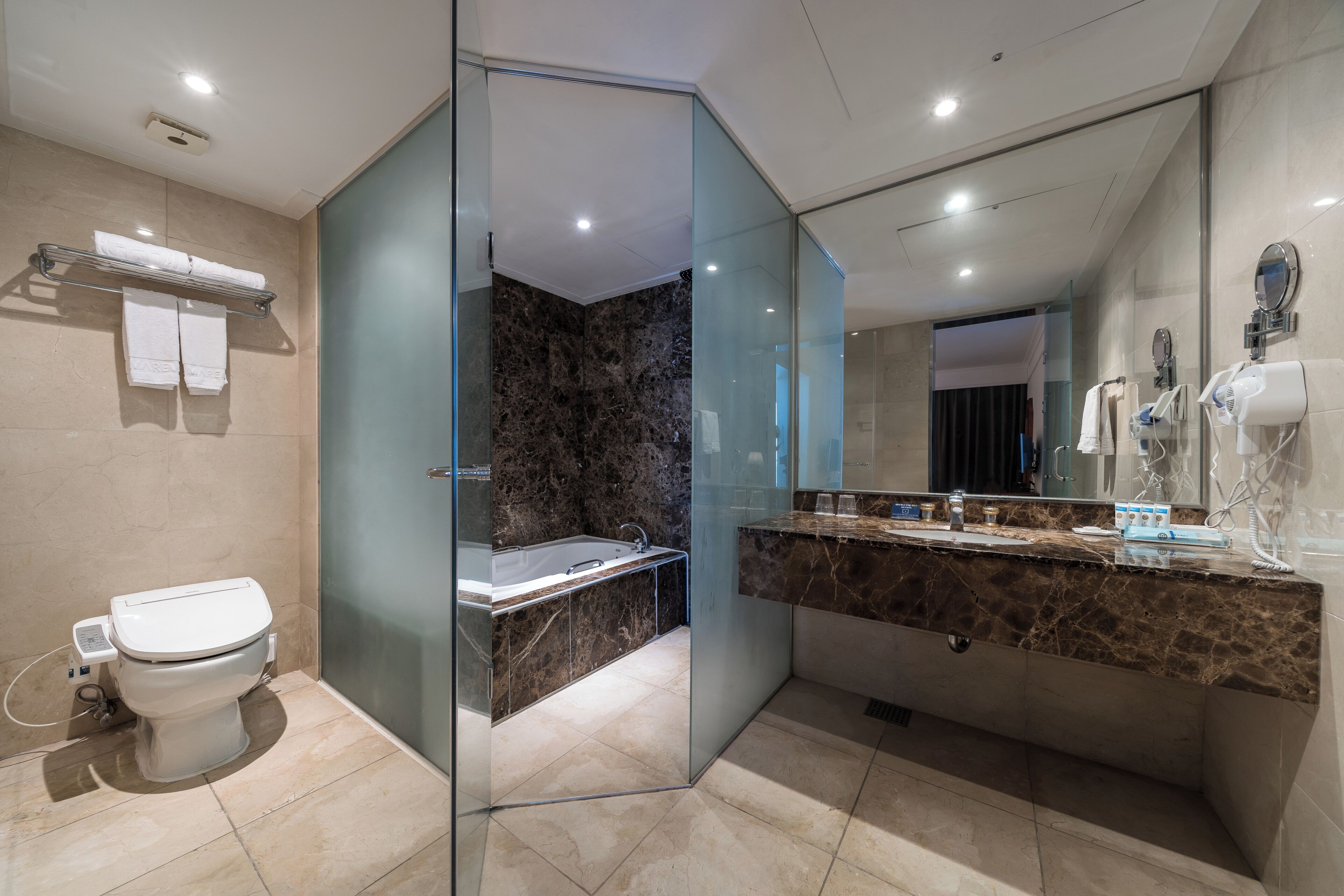 A modern bathroom with a glass partition, a marble sink, a bathtub, and a toilet.