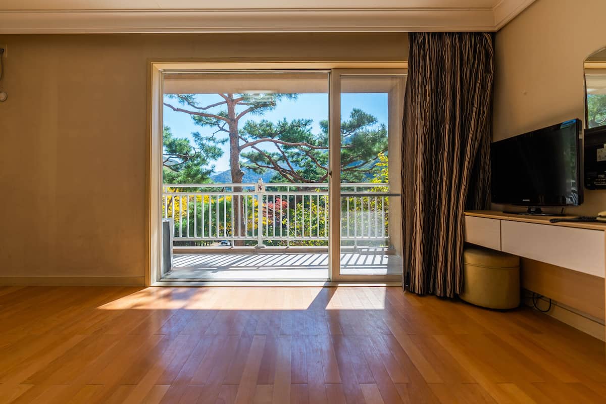 Une pièce avec un plancher en bois, une porte-fenêtre coulissante donnant sur un balcon doté d’une balustrade, un téléviseur posé sur un meuble et une poubelle.