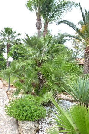 Giardino