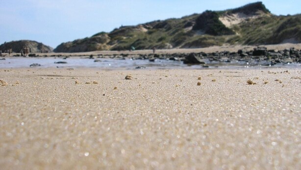 Beach - Drago (San Roque)