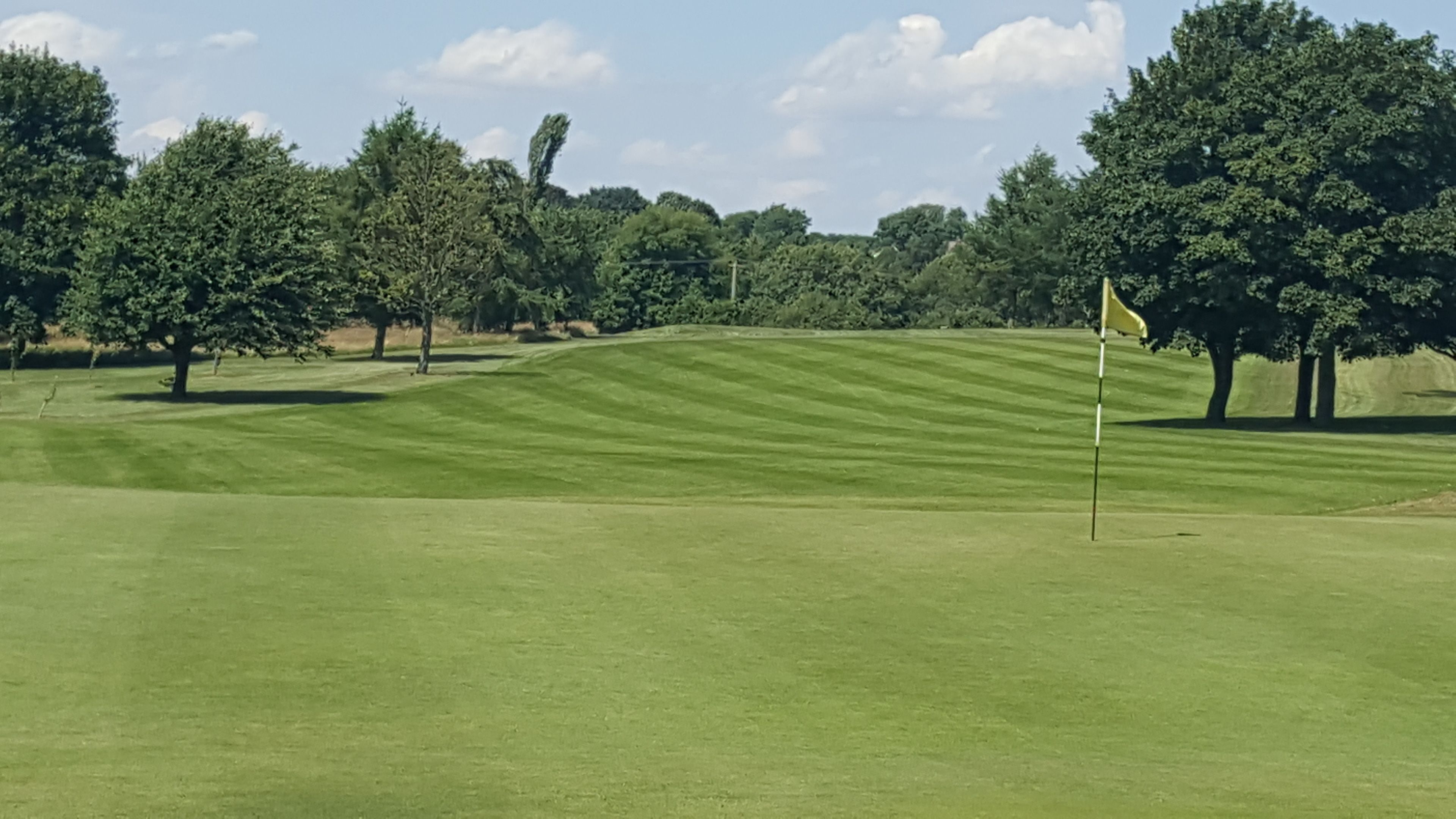 En golfbane med flagstang, træer og bølgende grønne bakker.