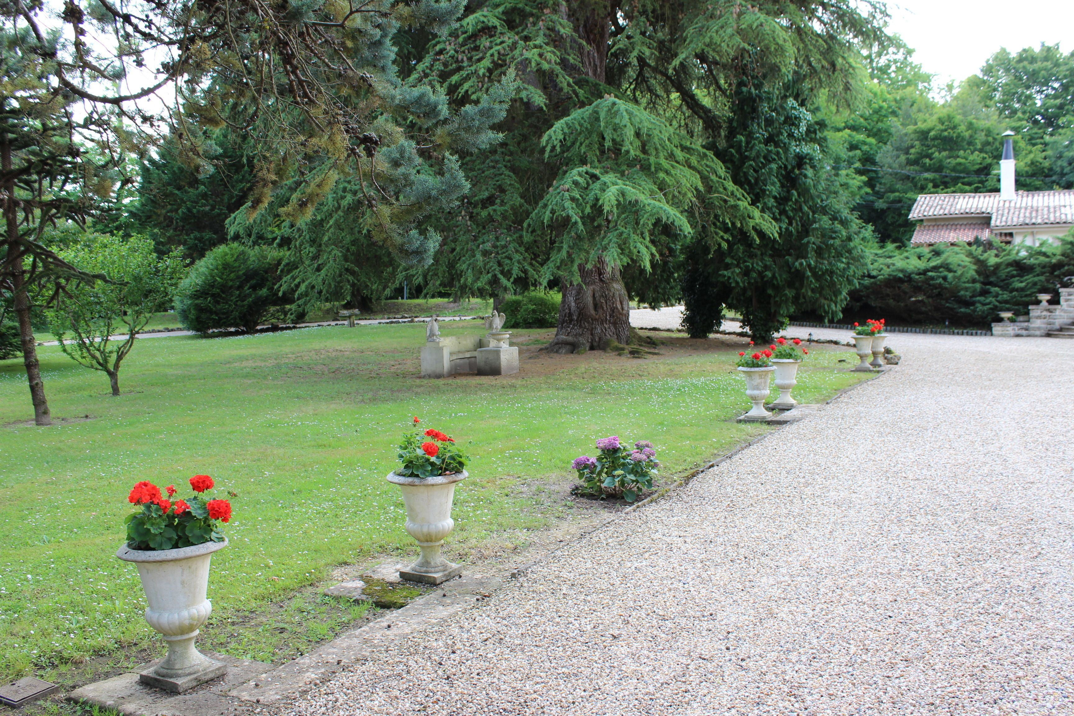 A pathway lined with planters and trees in a park-like setting.