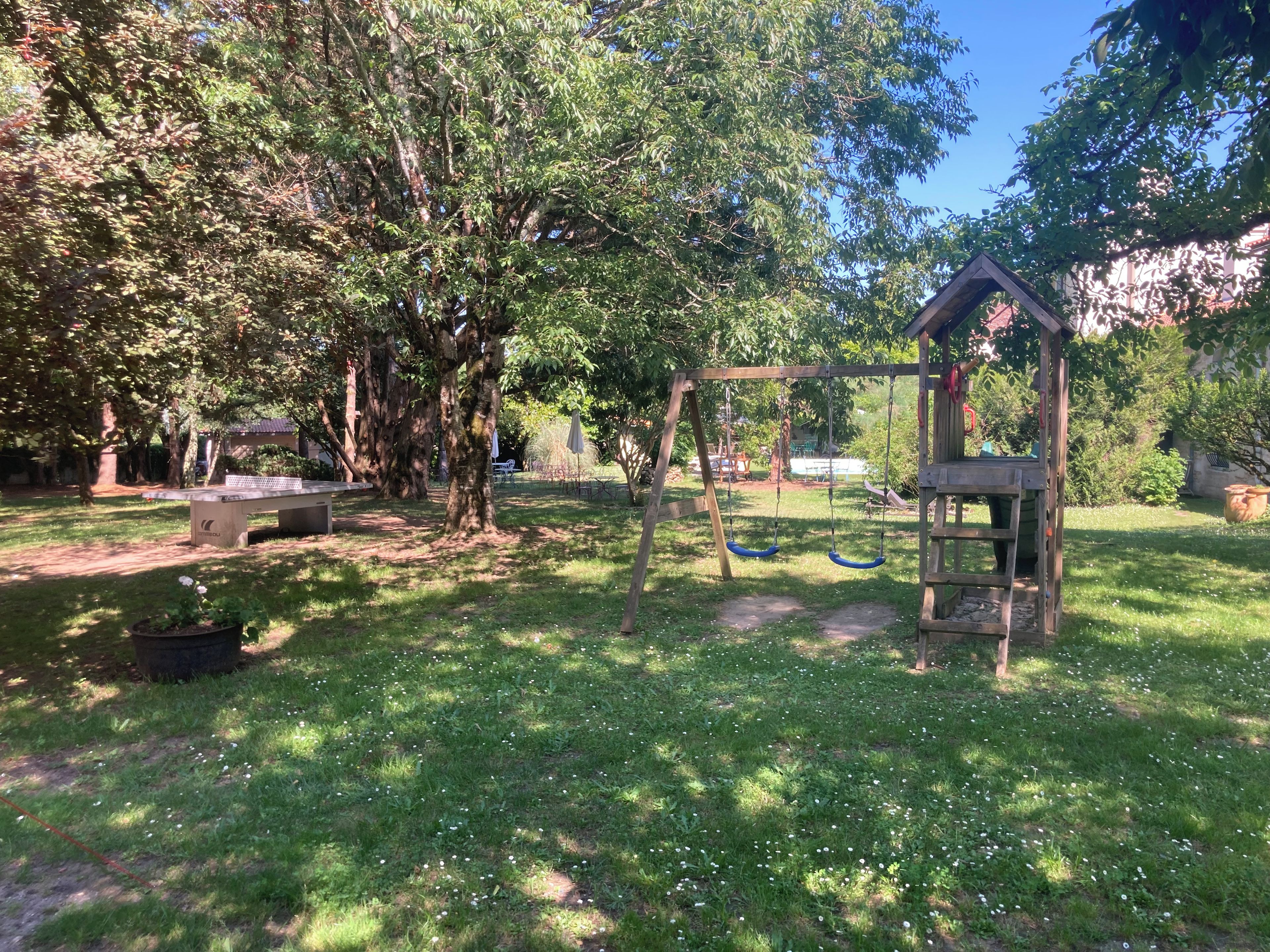 A garden with a swing set, a table, and a large tree.