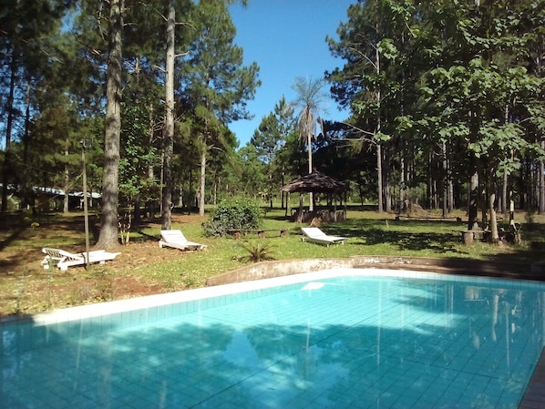 Outdoor pool, a natural pool, pool umbrellas, sun loungers