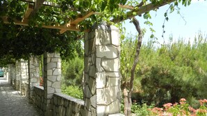 Un sendero de piedra con una pérgola sobre él, rodeado de follaje y plantas en flor.