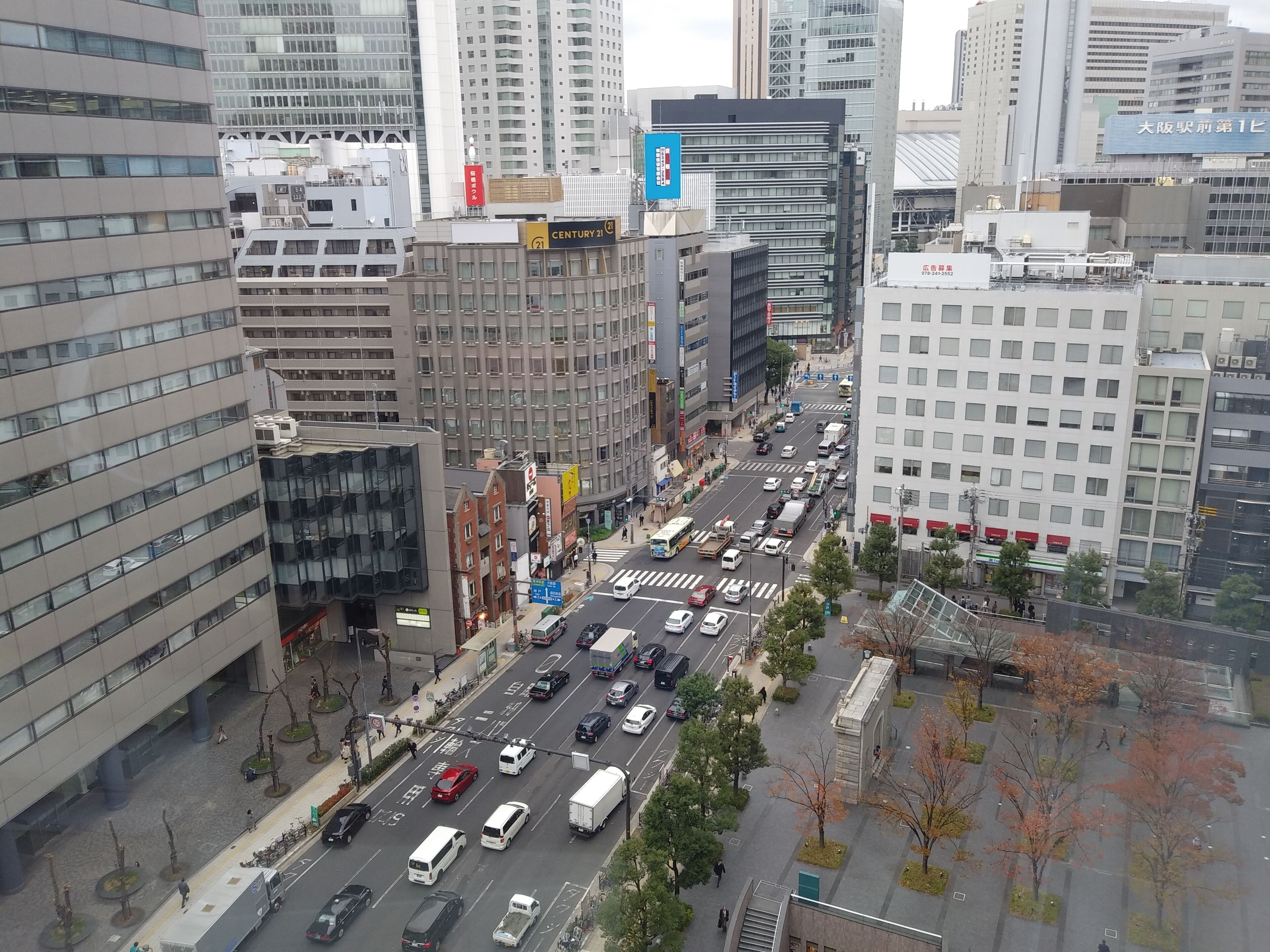 シティ ビュー