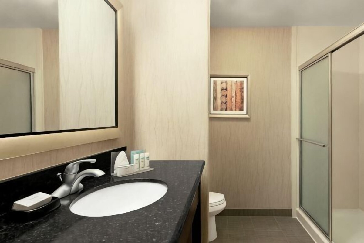 Un baño moderno con un espejo grande, una encimera negra, un lavamanos blanco, un inodoro y una cabina de ducha con mampara de vidrio.