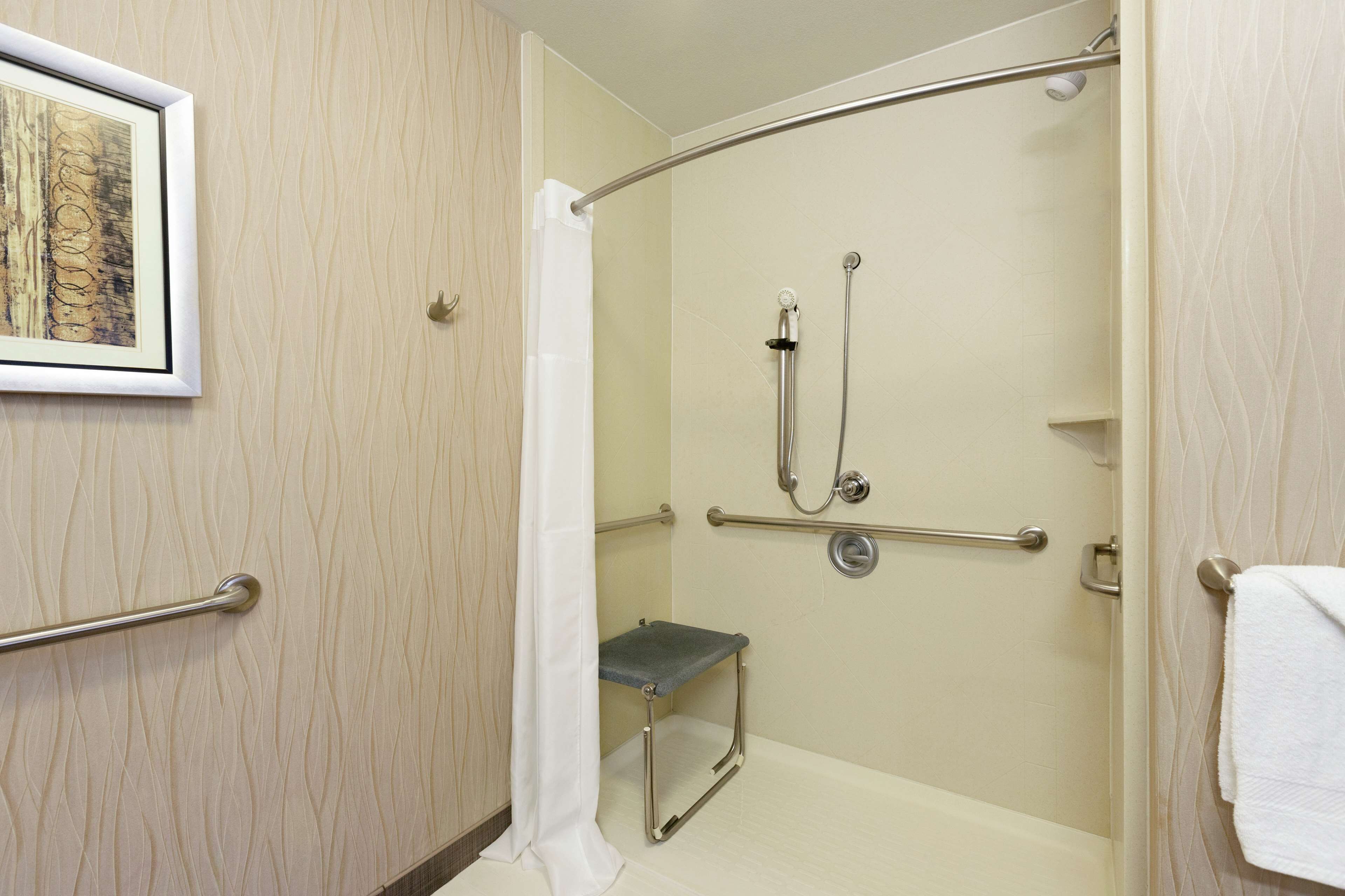 suite, 1 king bed, accessible, non smoking (roll-in shower) | bathroom shower