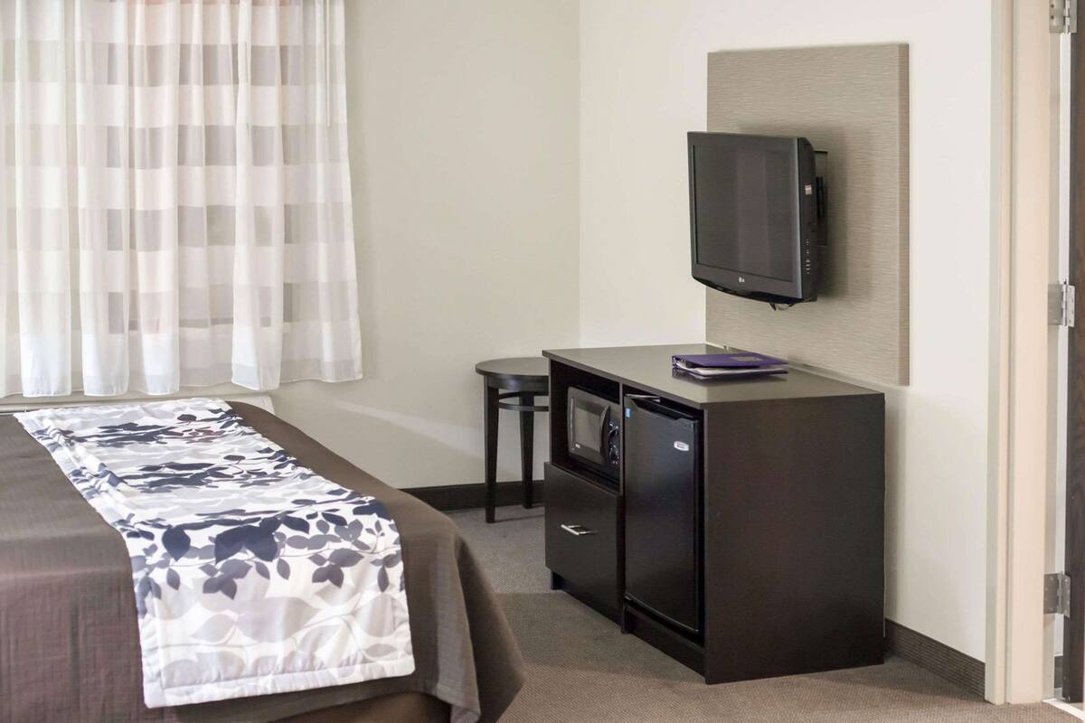 Une chambre d’hôtel comprenant un lit, un bureau avec une télévision et un réfrigérateur.