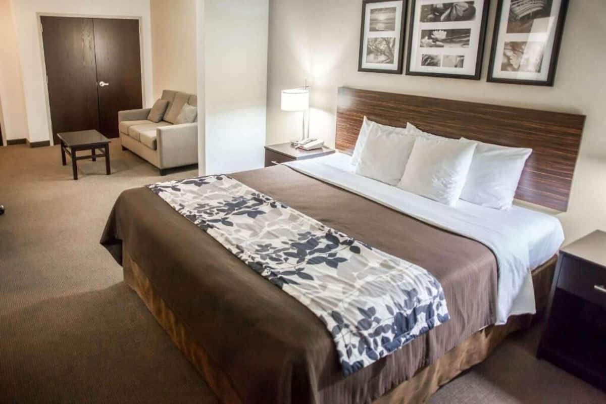 Une chambre d’hôtel avec un lit, un canapé, une table de chevet et une porte.