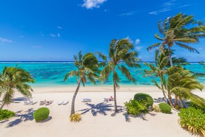 Ein Strand mit Palmen, Liegestühlen und einem klaren, blauen Meer.