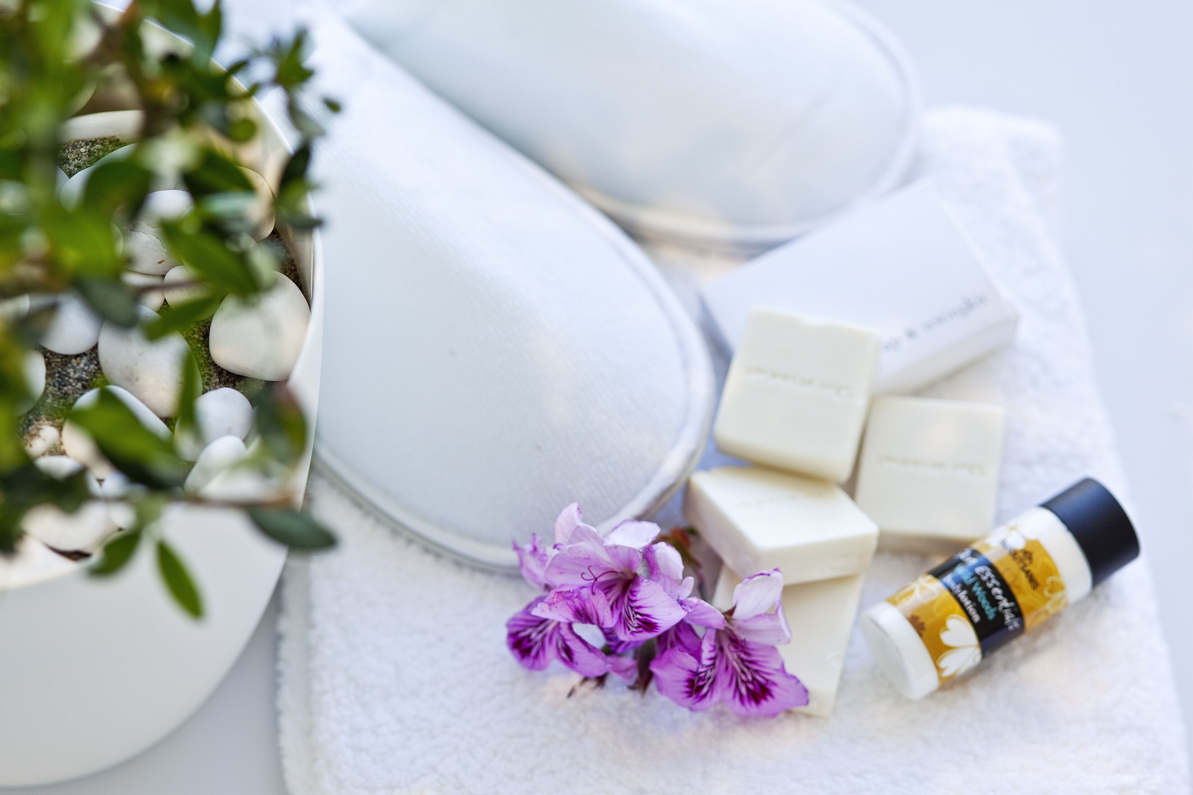 Foto - Mrs Chryssana Beach Hotel