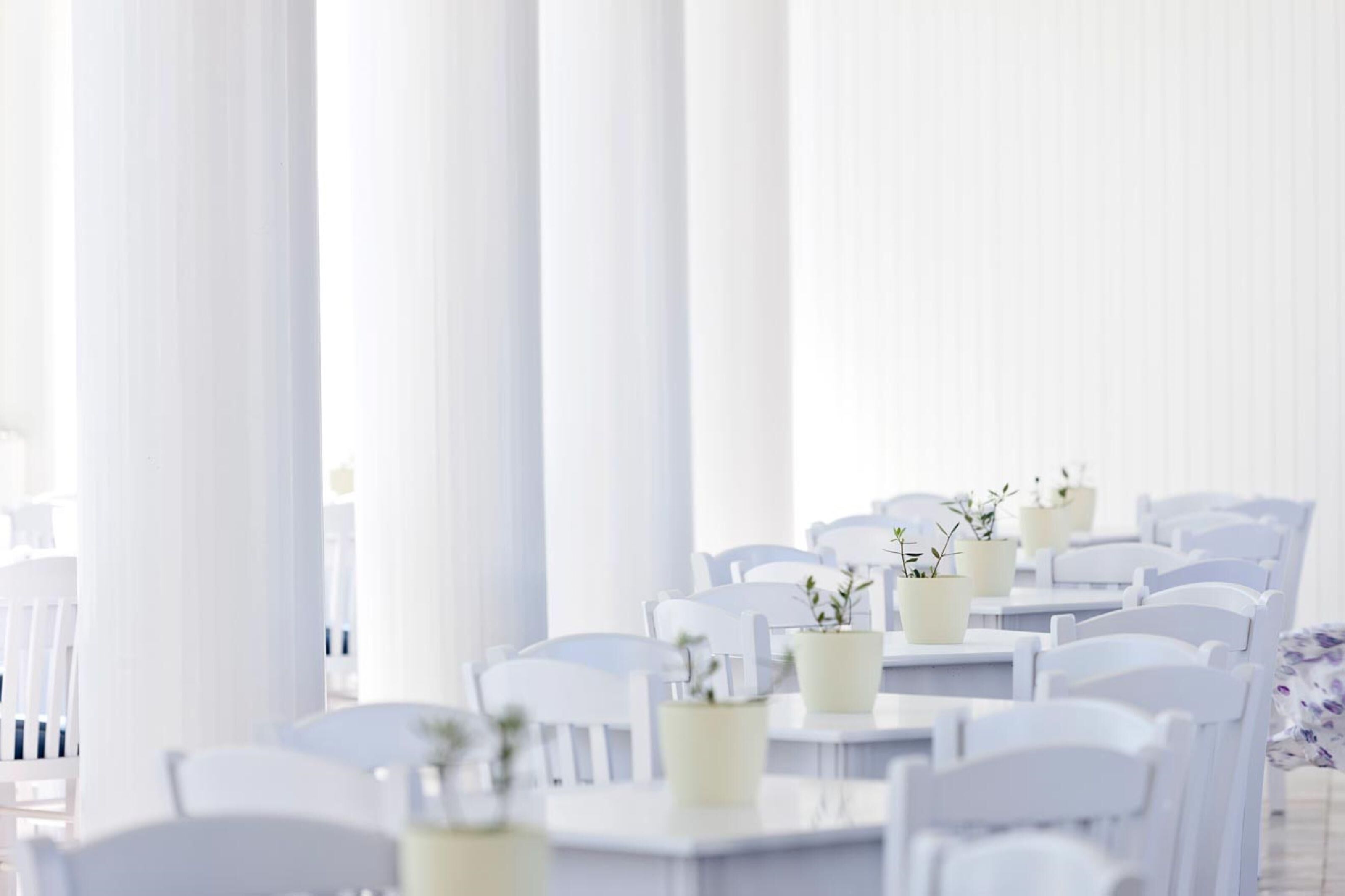 Foto - Mrs Chryssana Beach Hotel