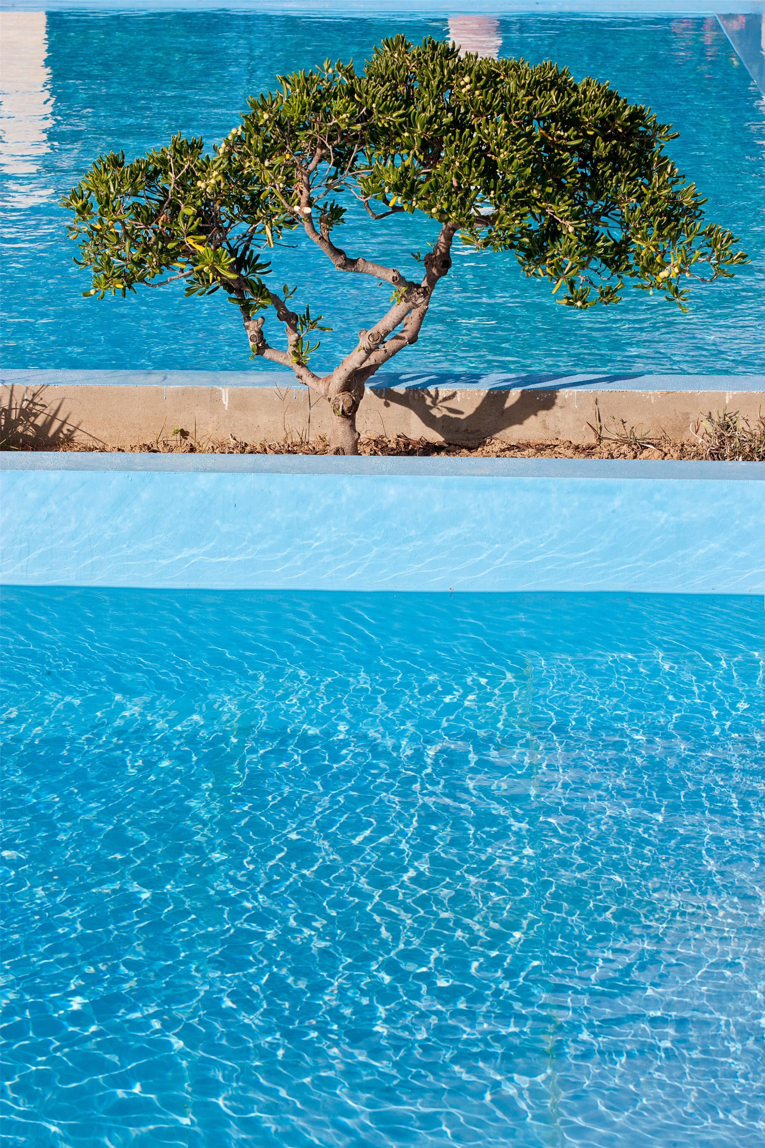 Seasonal outdoor pool, open 10:30 AM to 6:30 PM, pool umbrellas