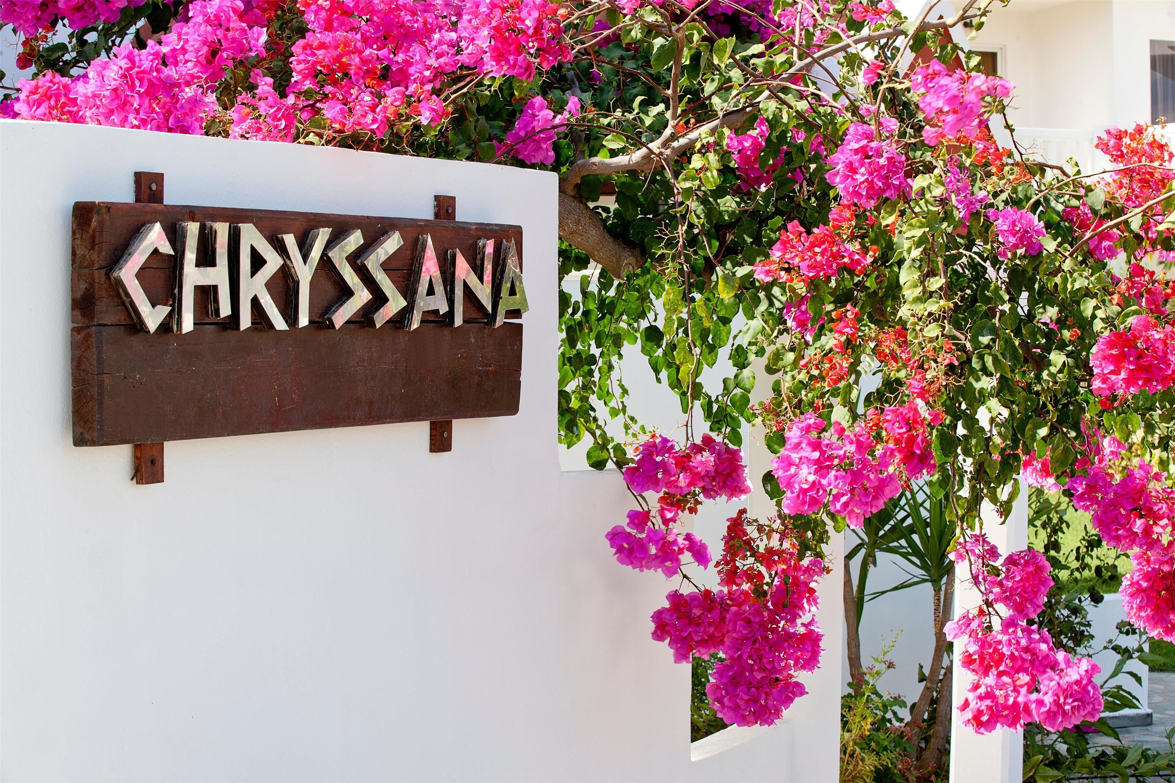 Foto - Mrs Chryssana Beach Hotel