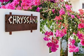 Exterior - Mrs Chryssana Beach Hotel (Platanias)