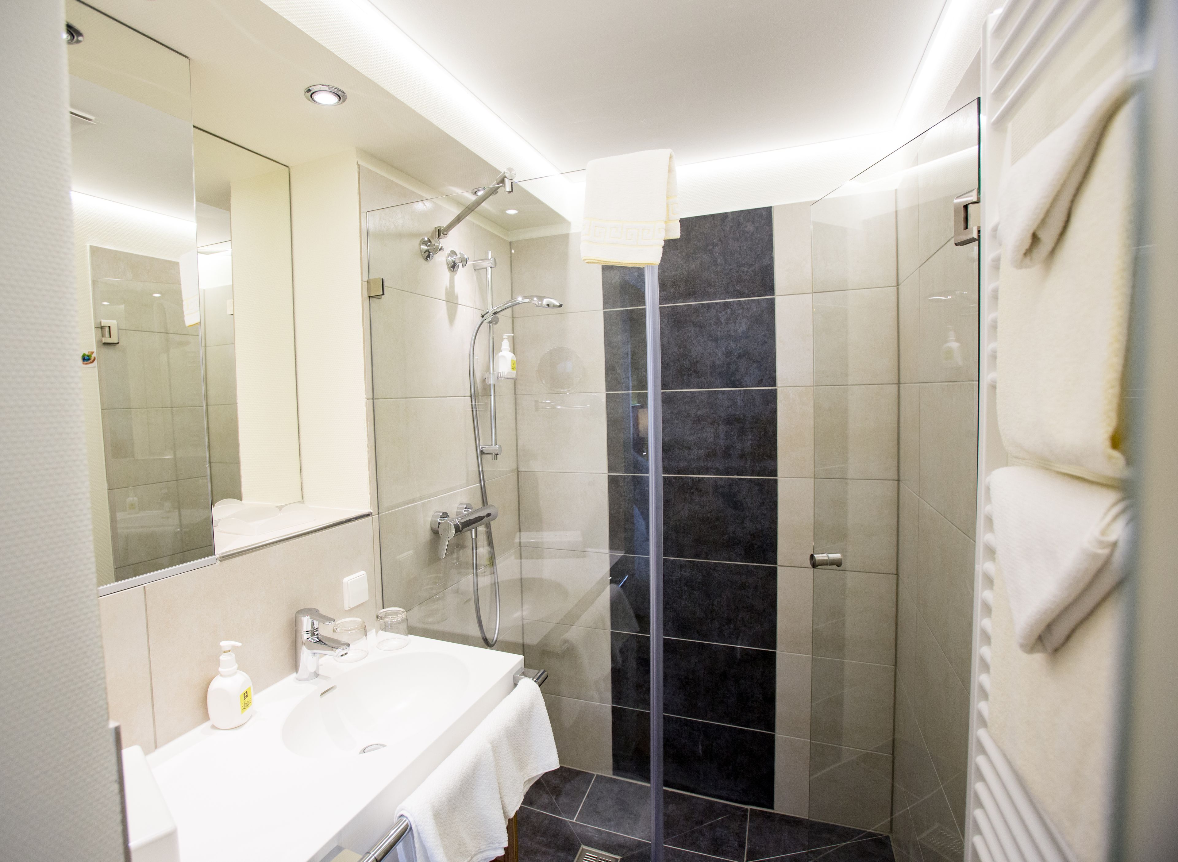 Un baño moderno con ducha de vidrio, un lavabo blanco y un espejo grande.