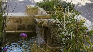 A stone fountain with water, surrounded by various plants and a purple flower. - Hôtel Le Mas Saint-Joseph (St.-Rémy-de-Provence)
