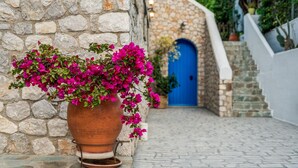 Un edificio de piedra con puerta azul, una planta de buganvilla en maceta y un camino de adoquines.