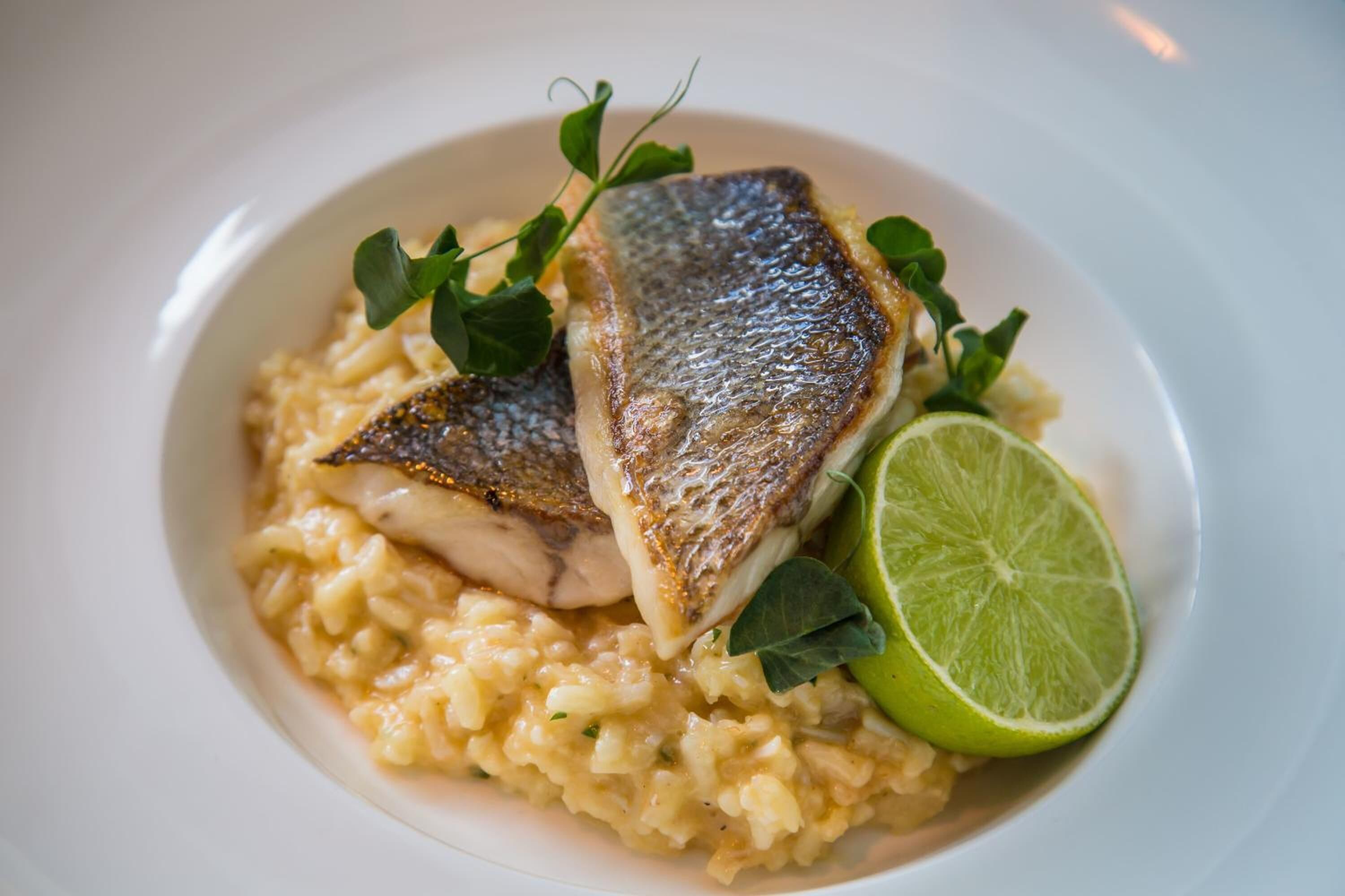 Un plato de comida con pescado y risotto.