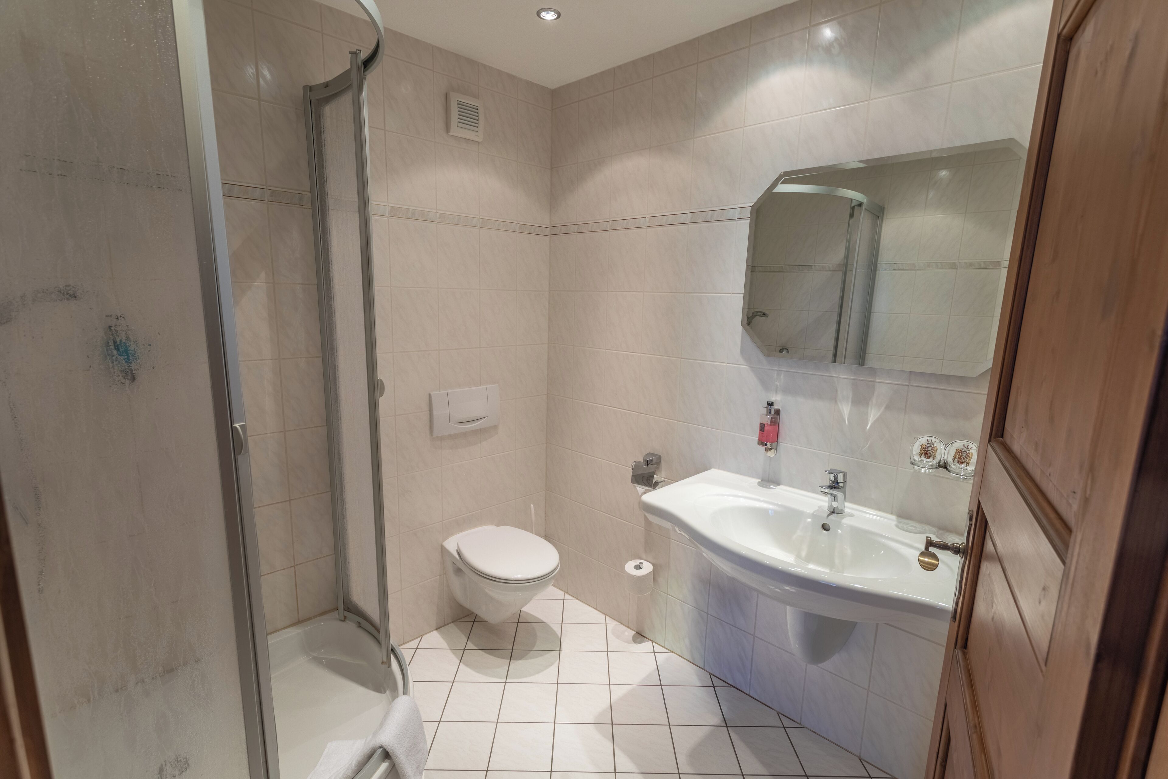 A modern bathroom with a glass shower enclosure, a white toilet, and a sink with a mirror above it.