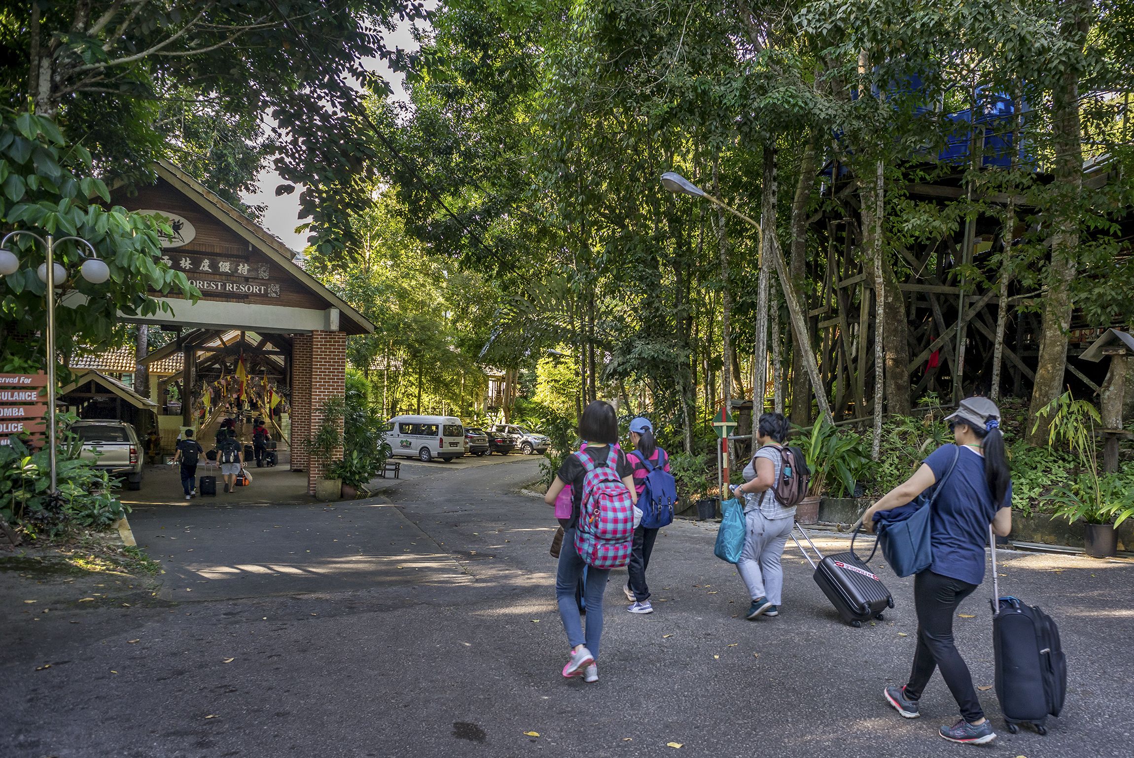 Un sendero que lleva a un edificio con un letrero que dice 'FOREST RESORT'.