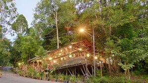 A rustic wooden building with a porch, surrounded by lush greenery and potted plants.