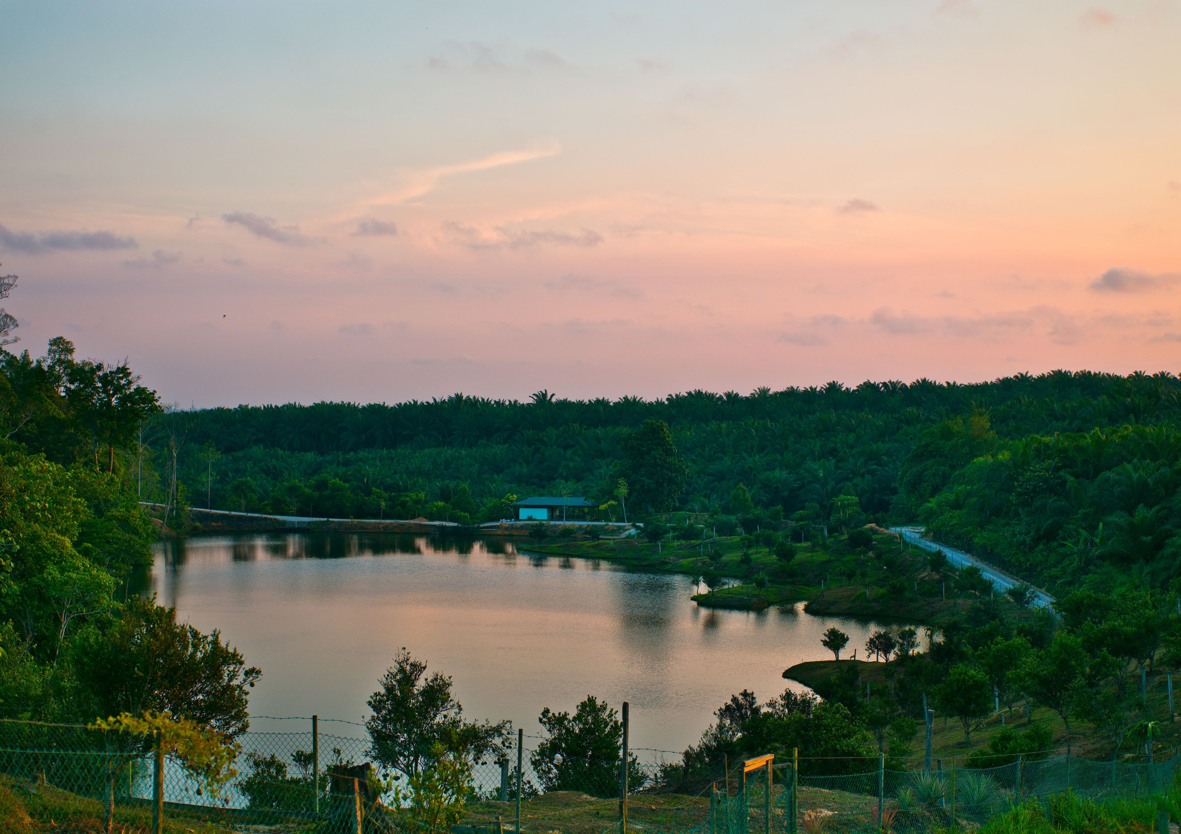 A serene lakeside view with a bridge, dense greenery, and a clear sky.