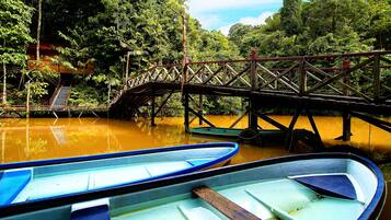 Un puente de madera sobre un río tranquilo con barcos amarrados cerca.