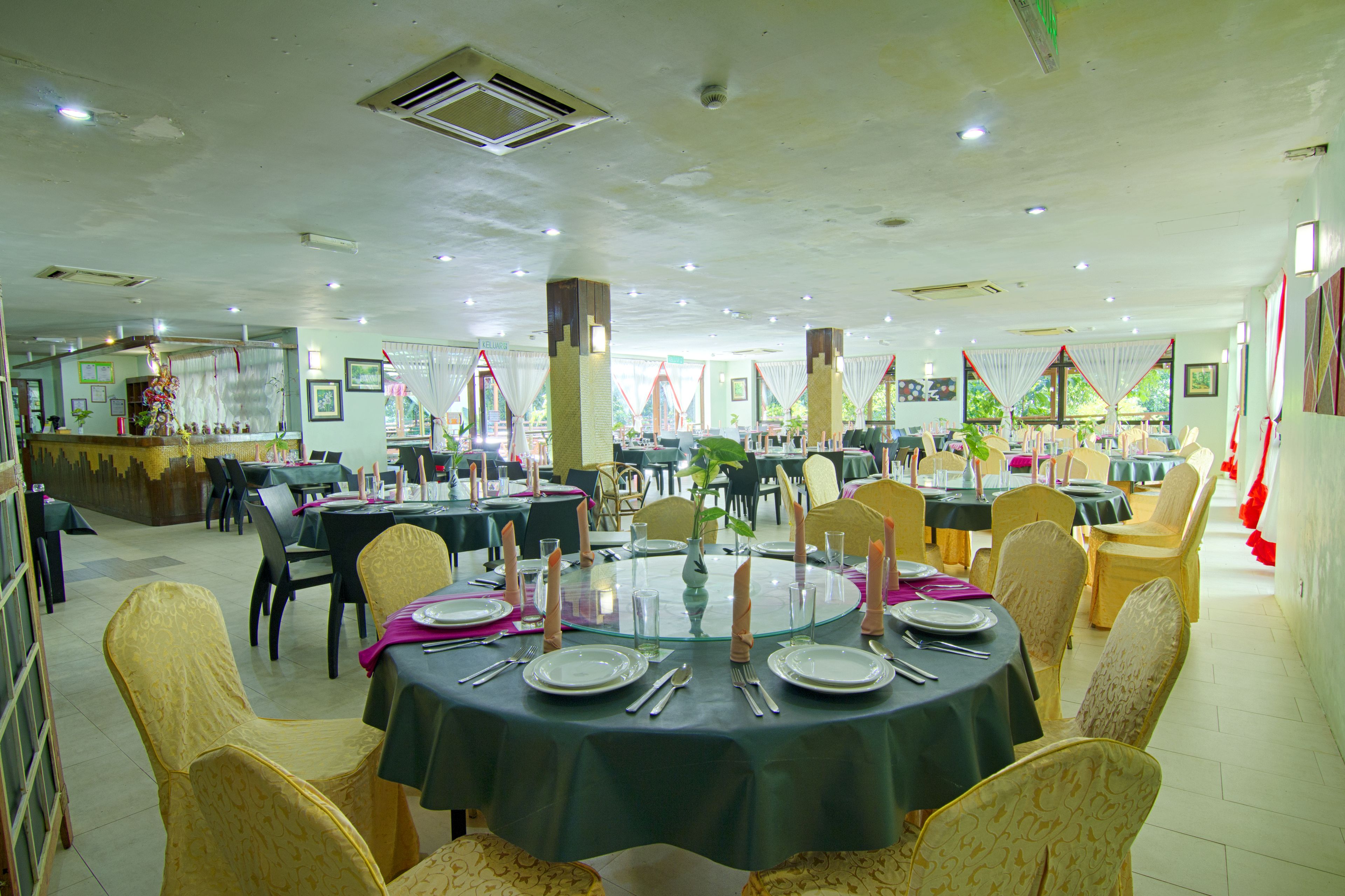 Un comedor amplio con mesas redondas, sillas y una planta decorativa en el centro.