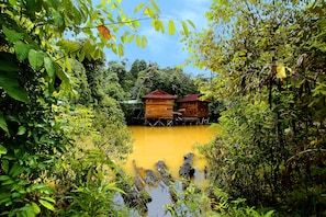 Cottage Meranti Chalet | Quang cảnh từ phòng